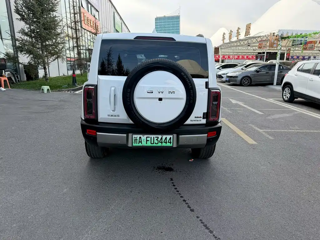 Haval Menglong New Energy — миниатюра 8