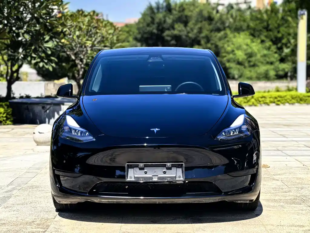 Tesla Model Y — миниатюра 2