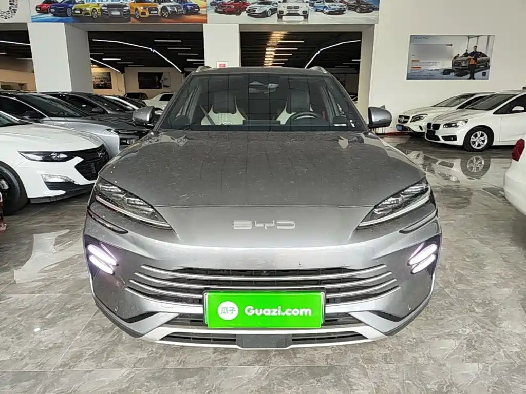 BYD PLUS New Energy — миниатюра 3