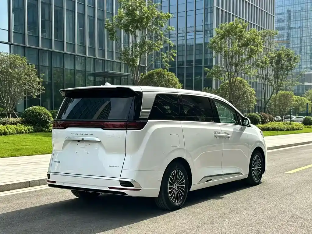 Denza Denza D9 — миниатюра 4