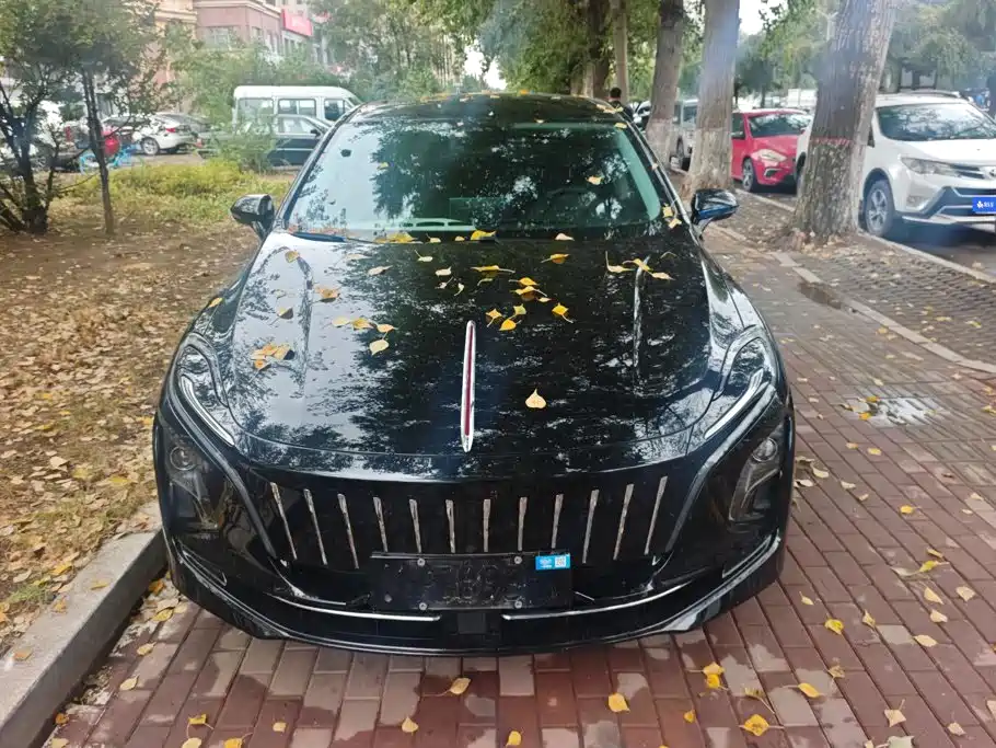Hongqi Hongqi E-QM5 — миниатюра 2