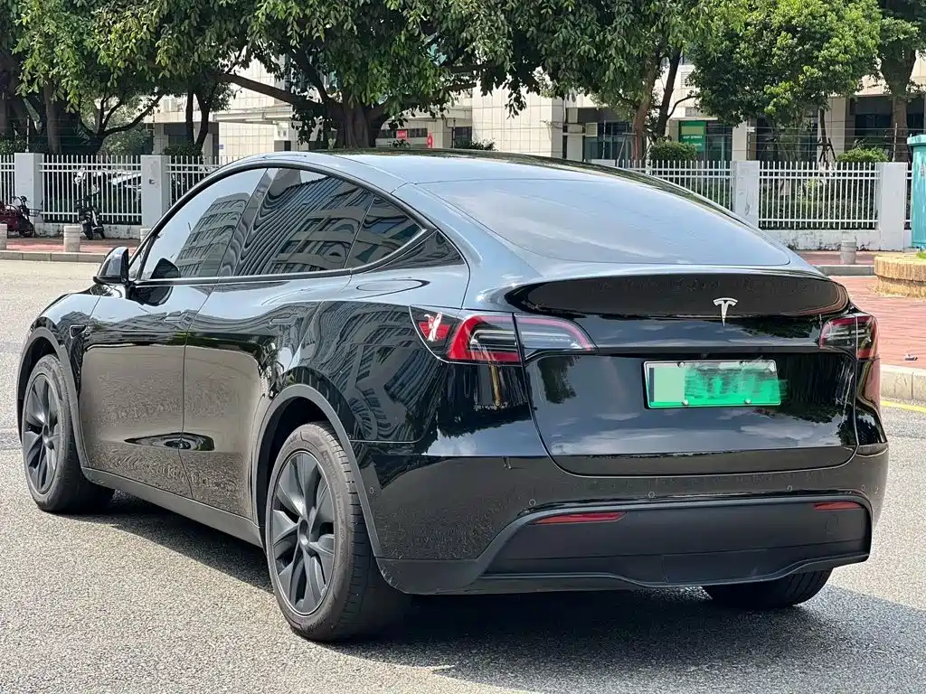 Tesla Model Y — миниатюра 7