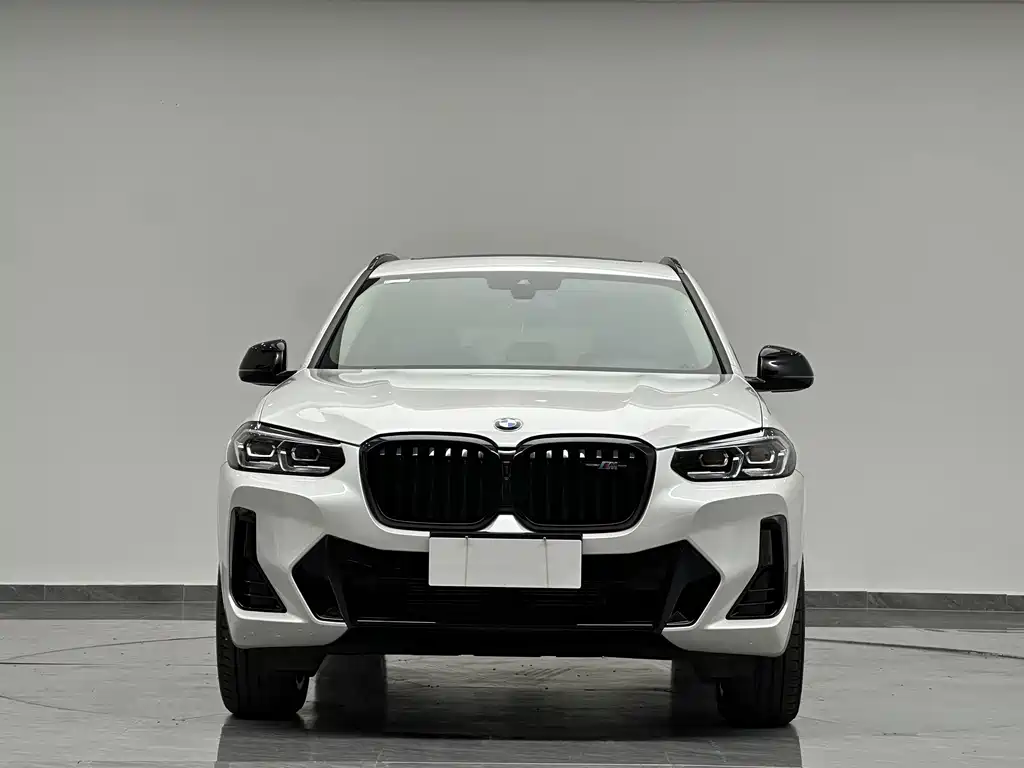 BMW X3 — миниатюра 2