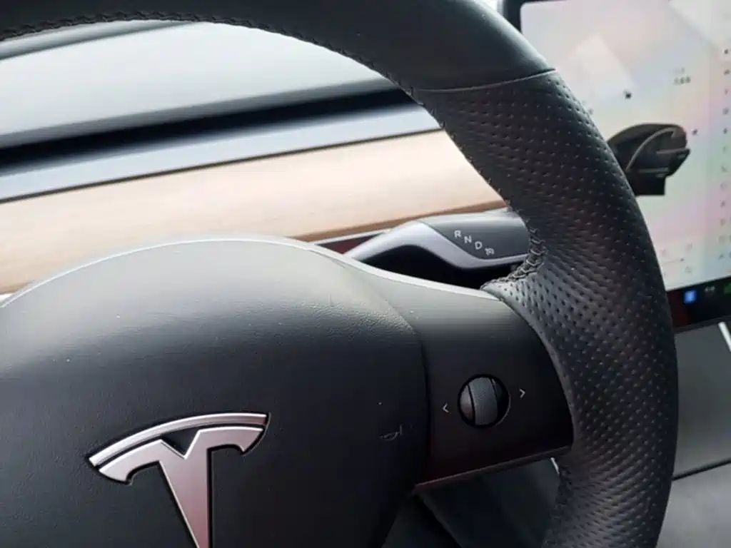 Tesla Model 3 — миниатюра 14