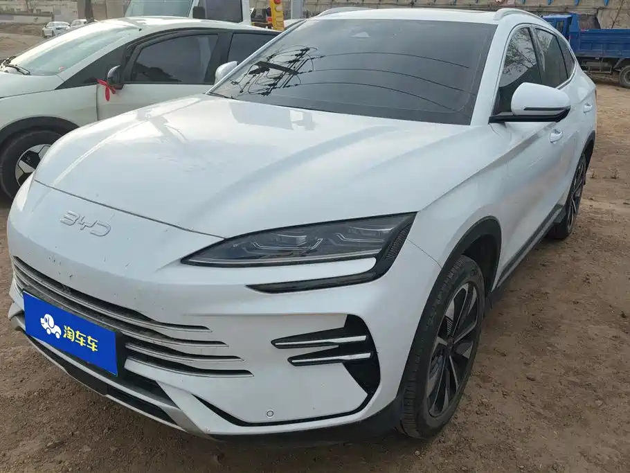 Byd PLUS New Energy 2025