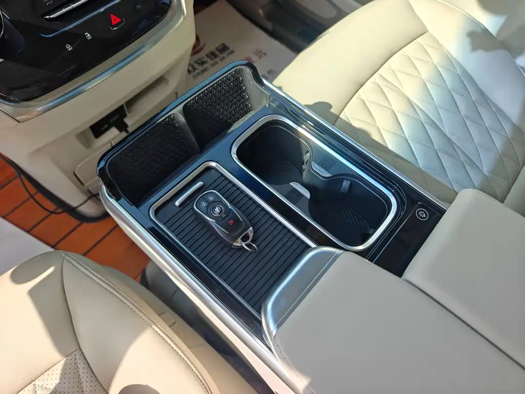 Buick GL8 — миниатюра 15