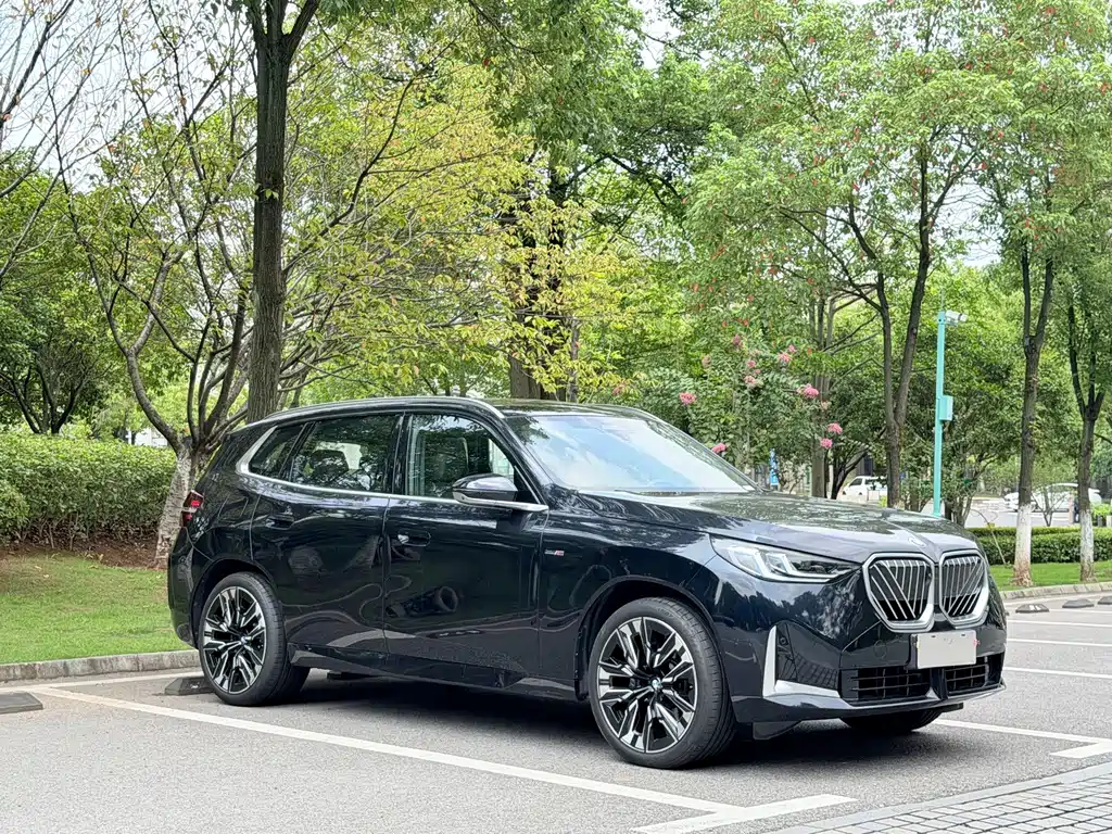 BMW X3 — миниатюра 3