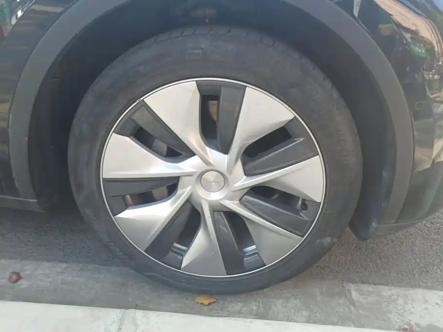Tesla Model Y — миниатюра 6