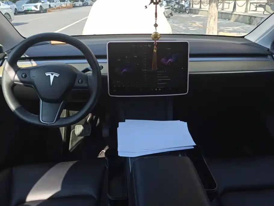 Tesla Model Y — миниатюра 12