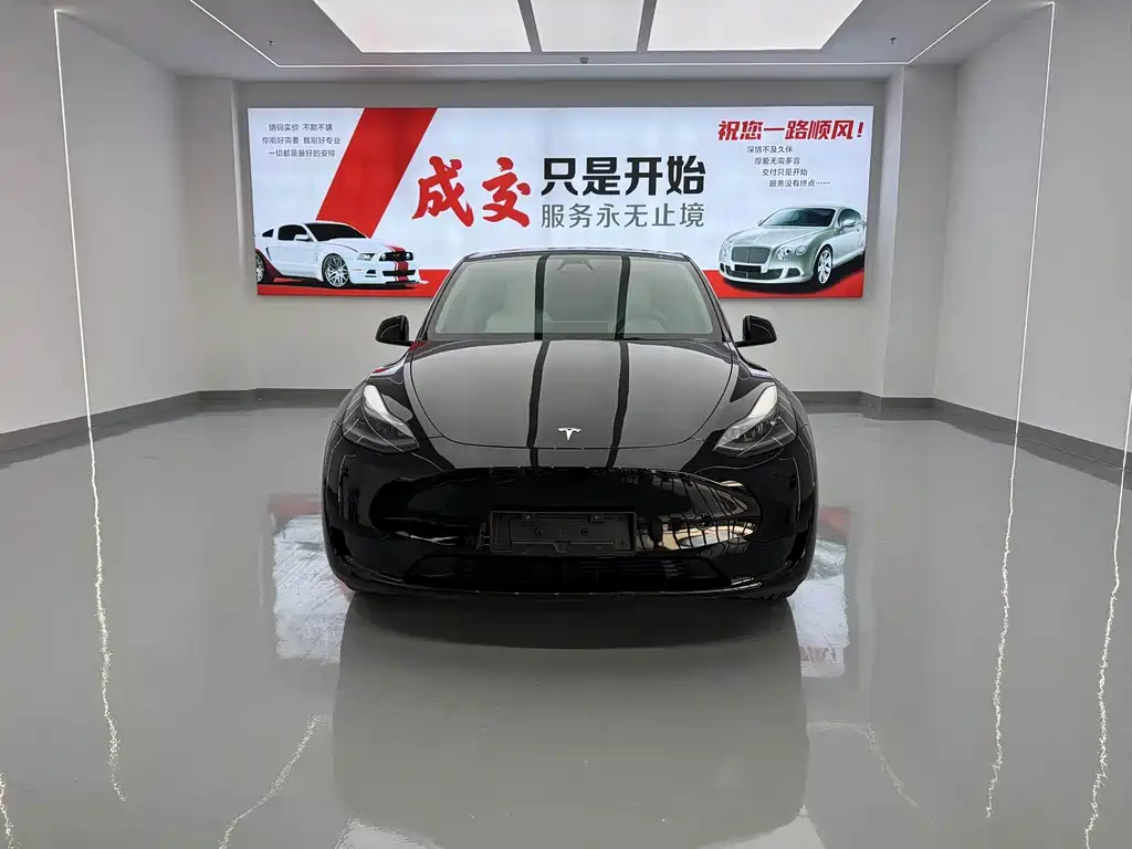 Tesla Model Y — миниатюра 2