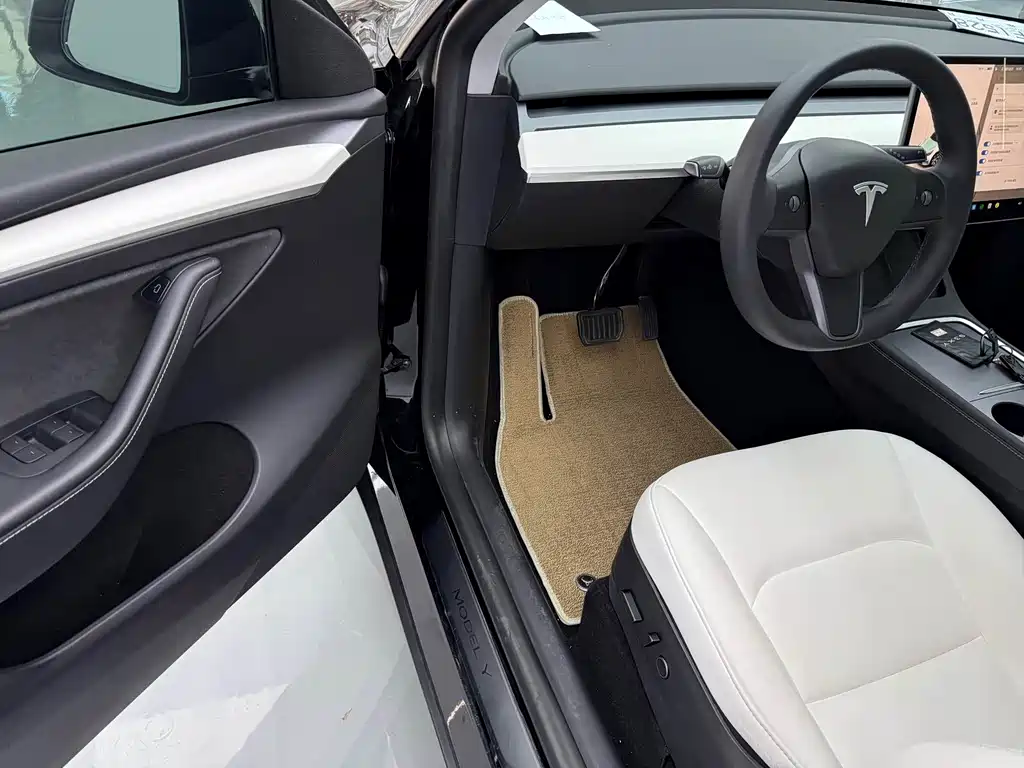 Tesla Model Y — миниатюра 5
