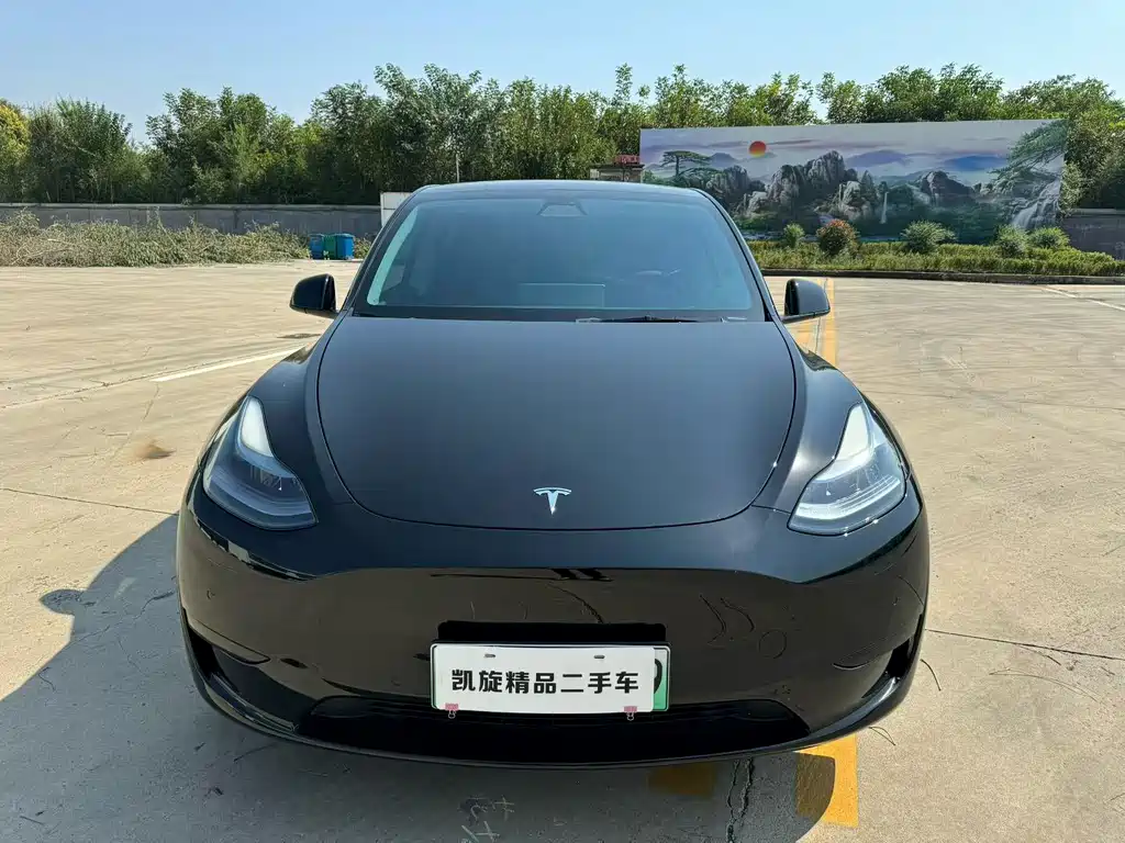 Tesla Model Y — миниатюра 2