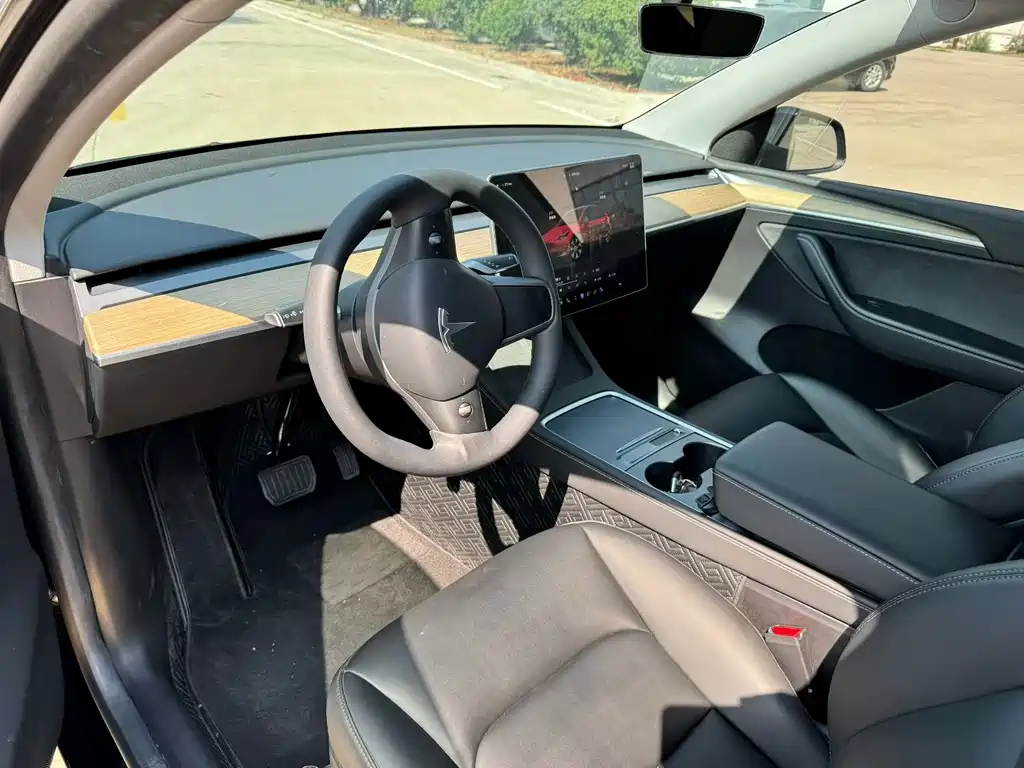 Tesla Model Y — миниатюра 7