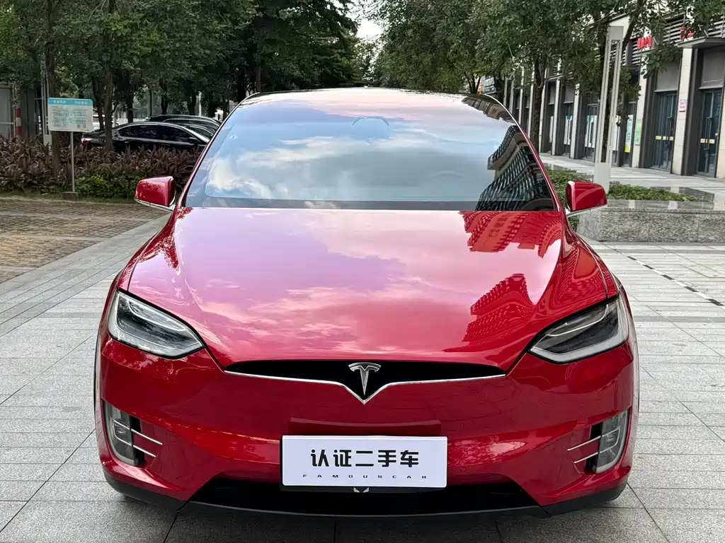 Tesla Model X — миниатюра 14