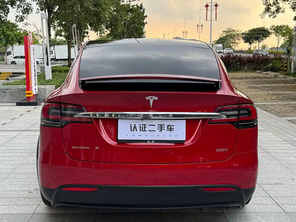 Tesla Model X — миниатюра 17
