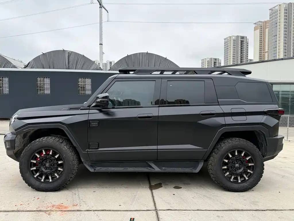 Mengshi Mengshi 917 — миниатюра 7