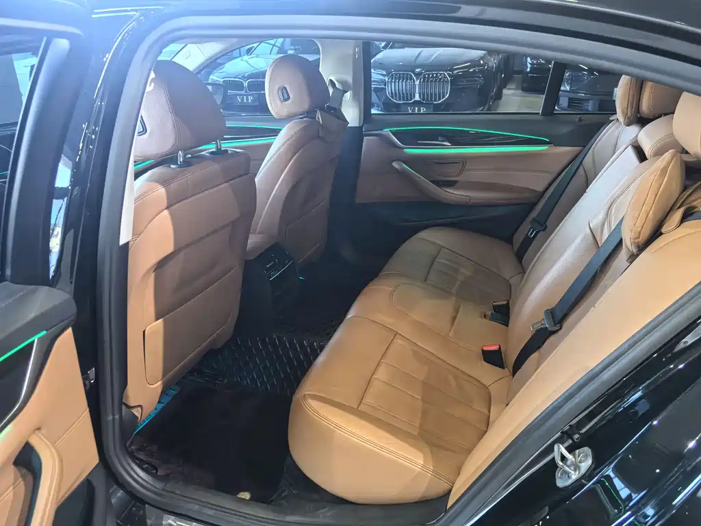 BMW 5 Series 5 2018 528Li