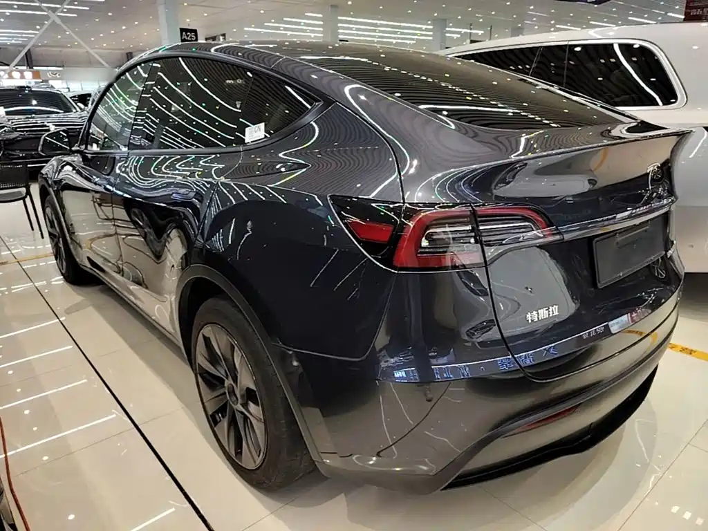 Tesla Model Y — миниатюра 5