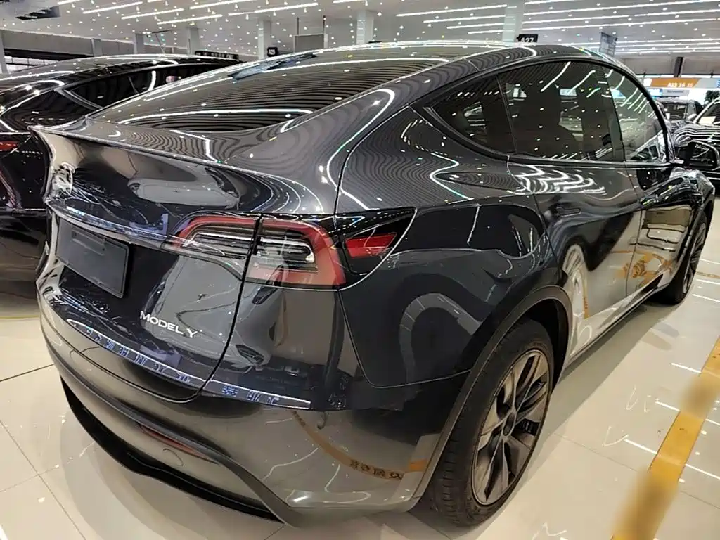 Tesla Model Y — миниатюра 7