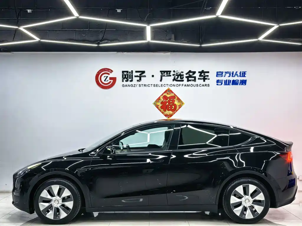 Tesla Model Y — миниатюра 15
