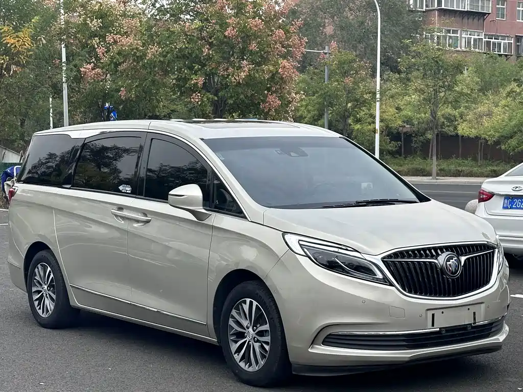 Buick GL8 — миниатюра 3