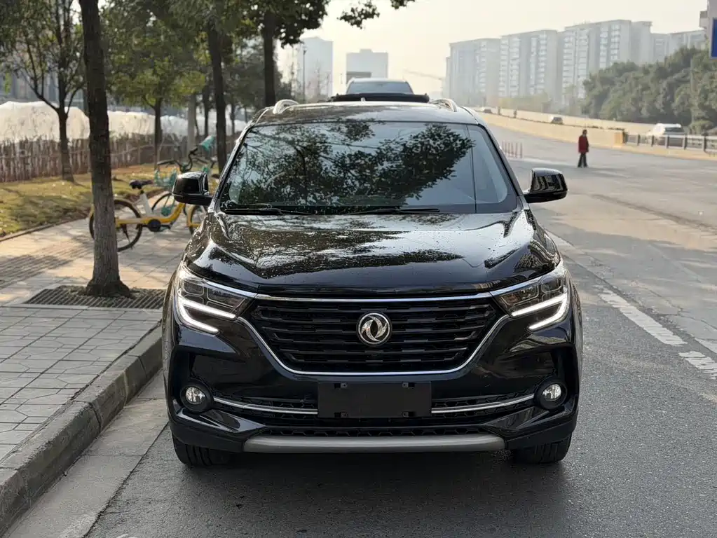 DONGFENG POPULAR T5