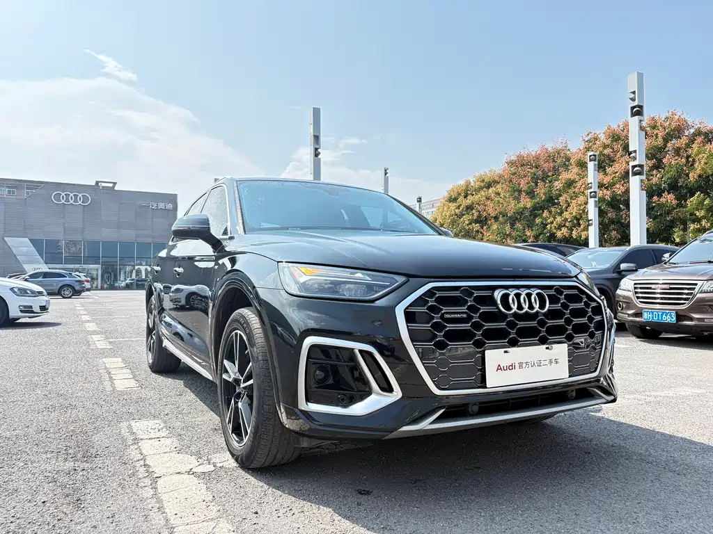 Audi Q5L — миниатюра 3