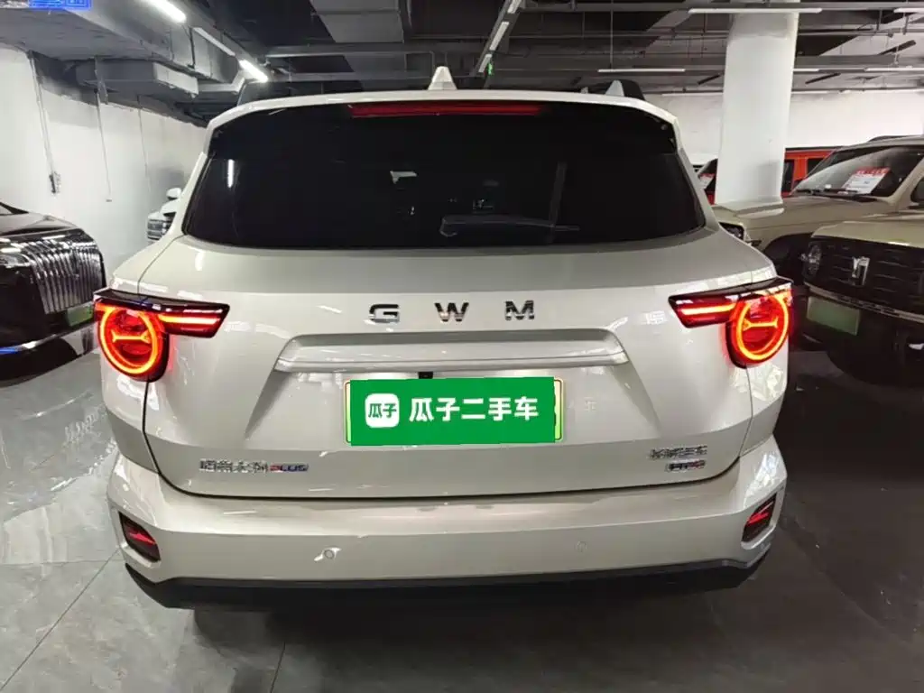 Haval Big Dog PLUS New Energy — миниатюра 6