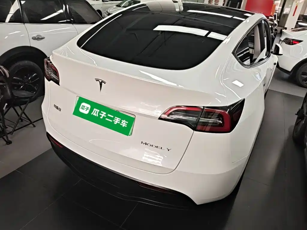 Tesla Model Y — миниатюра 7