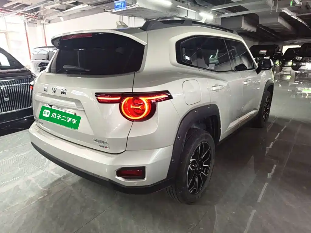 Haval Big Dog PLUS New Energy — миниатюра 7