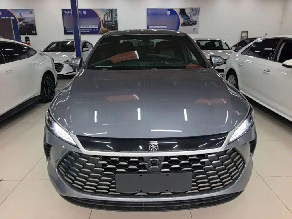 BYD Qin PLUS — миниатюра 3