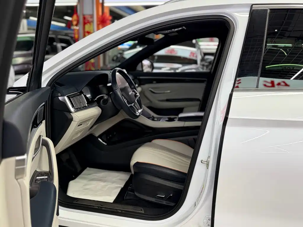 BYD PLUS New Energy — миниатюра 7