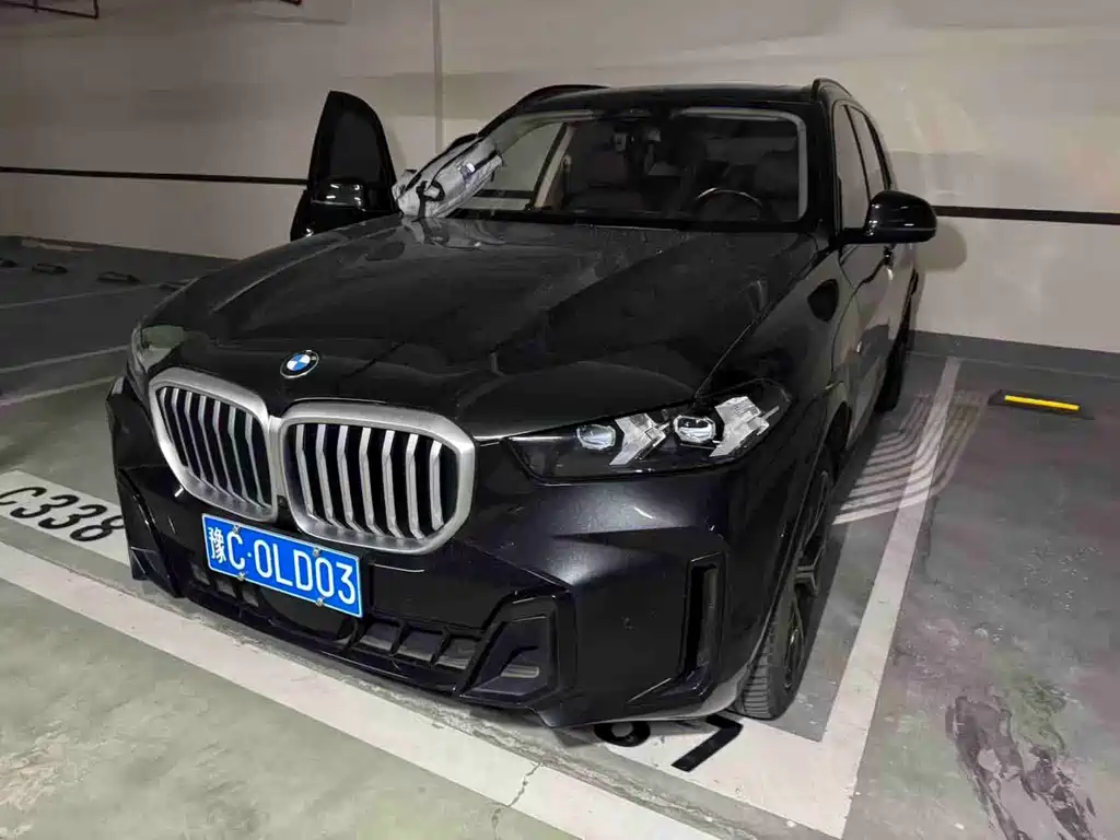 BMW X5 — миниатюра 6