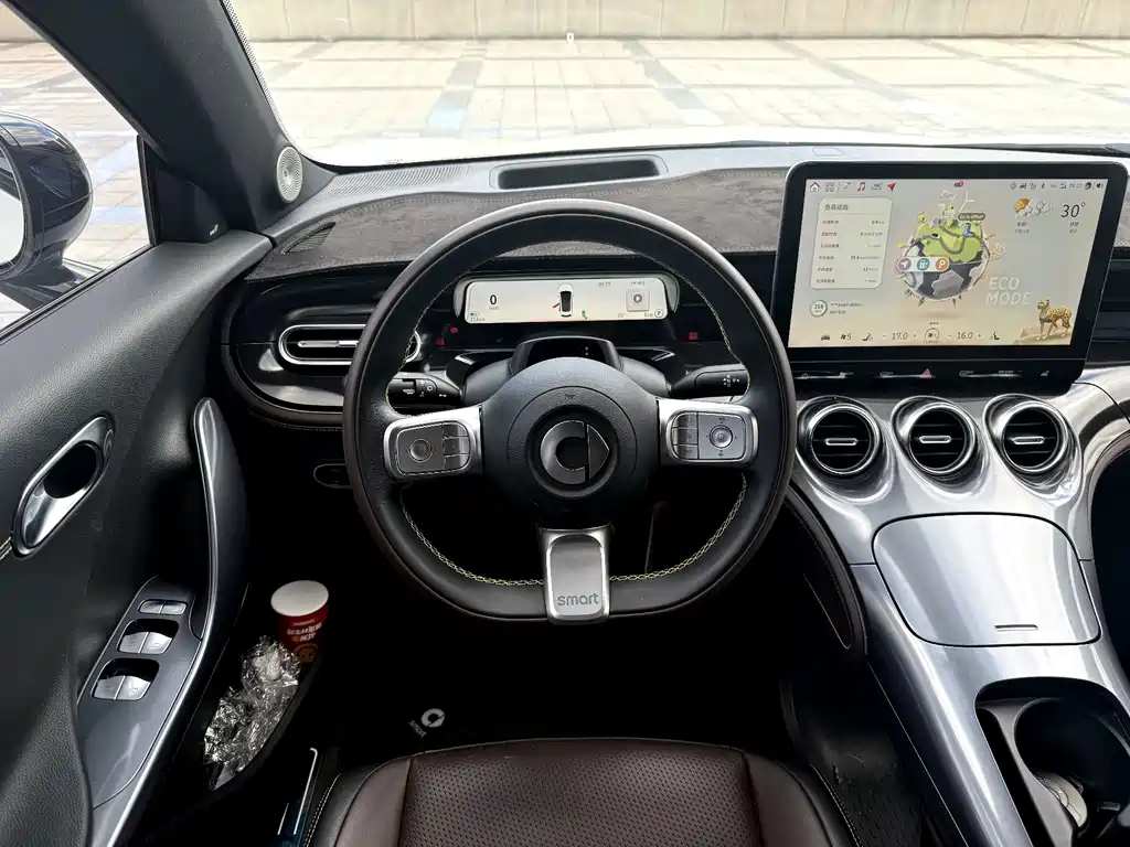 smart Smart #3 — миниатюра 11