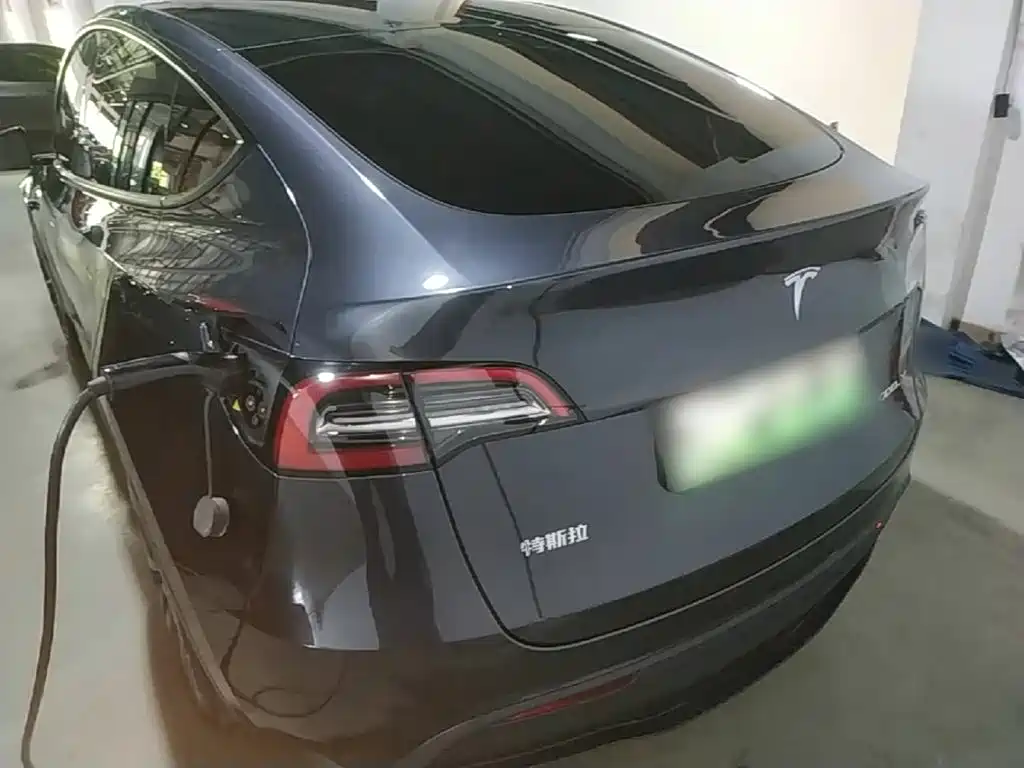 Tesla Model Y — миниатюра 6