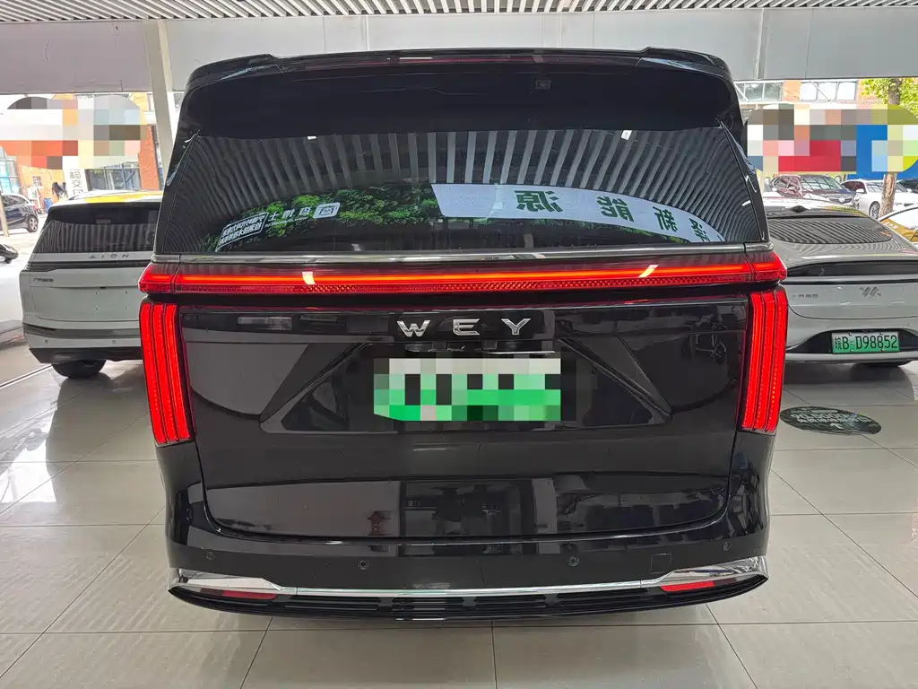 Wey Wey Gaoshan New Energy — миниатюра 16