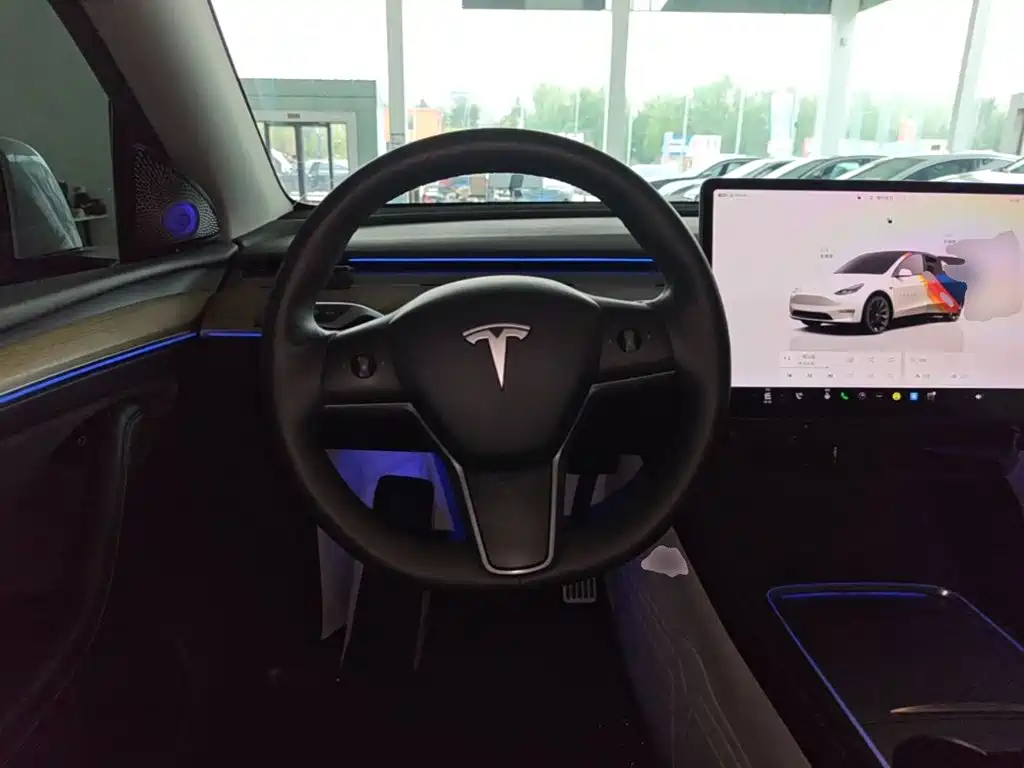 Tesla Model Y — миниатюра 11