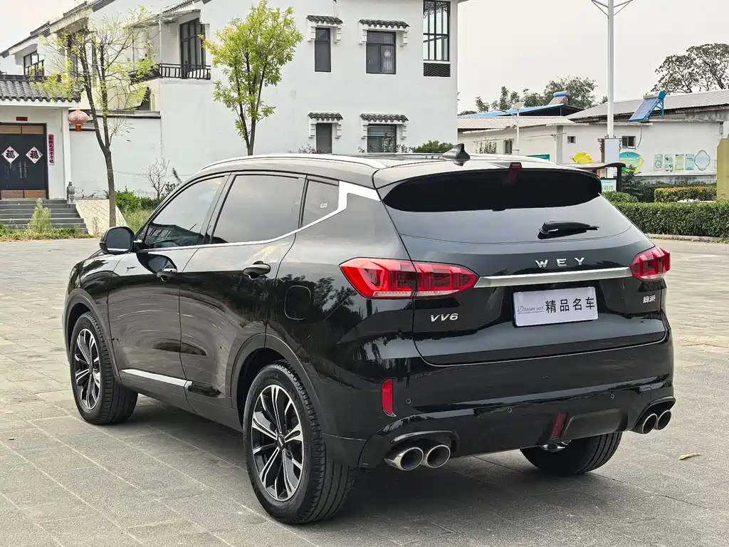 Wey Wey VV6 — миниатюра 7