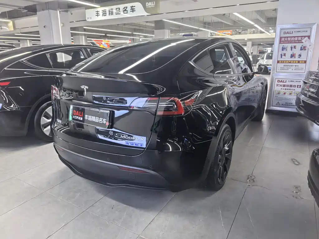 Tesla Model Y — миниатюра 10