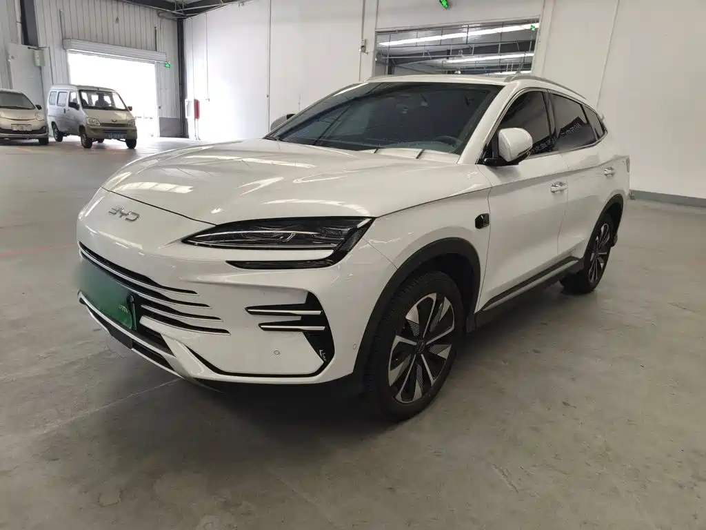 BYD PLUS New Energy — миниатюра 2