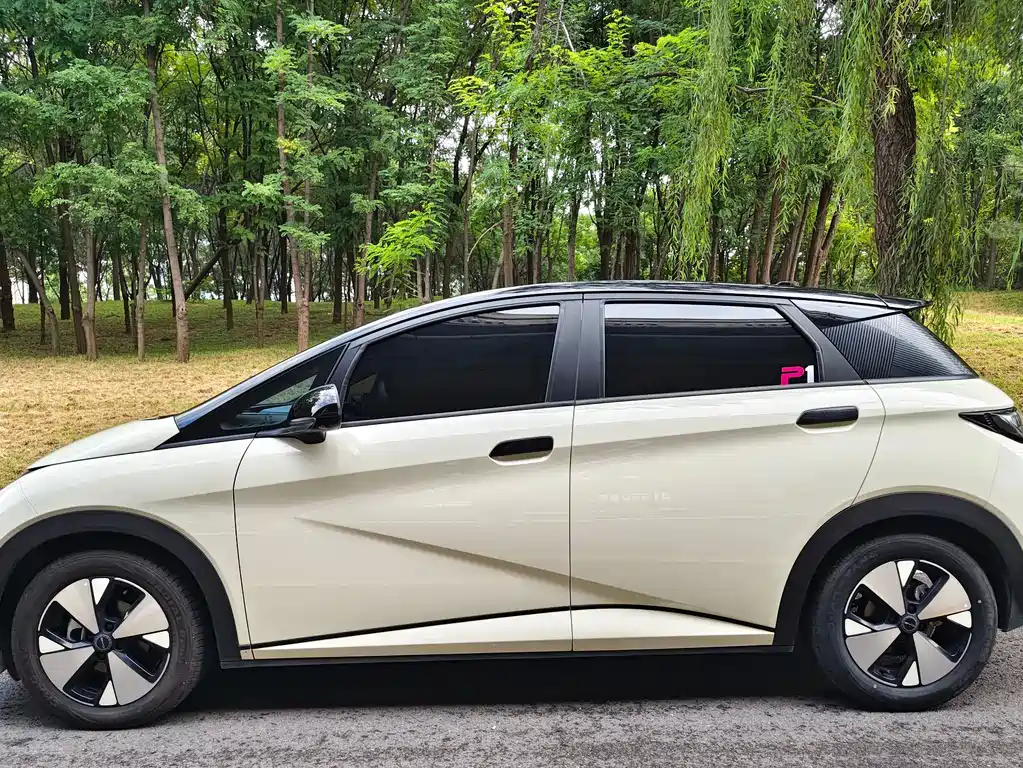 BYD Dolphin — миниатюра 7