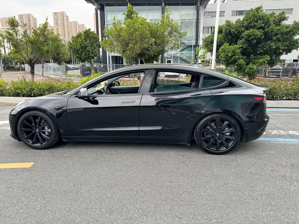 Tesla Model 3 — миниатюра 7