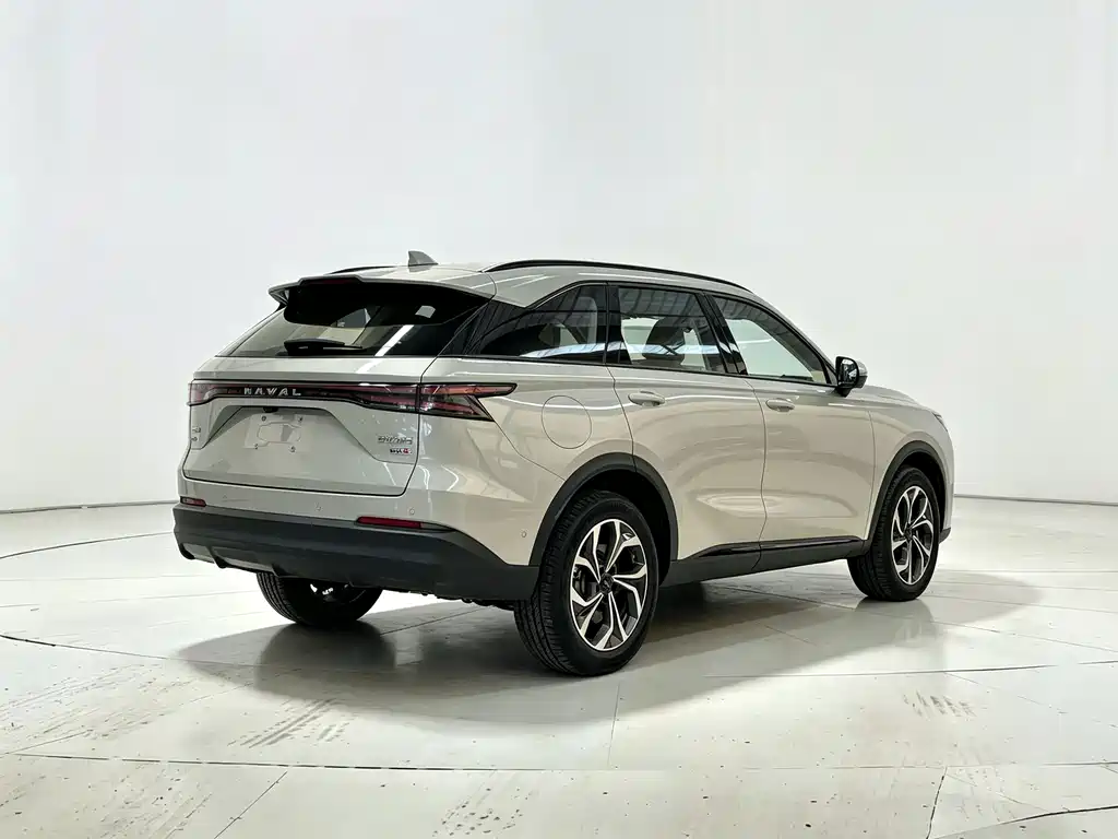 Haval Xiaolong MAX — миниатюра 9