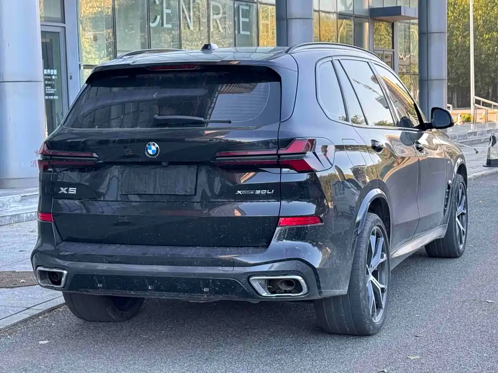 BMW X5 — миниатюра 4