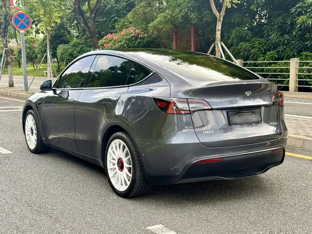 Tesla Model Y — миниатюра 8