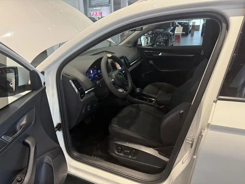 Skoda Karoq — миниатюра 7