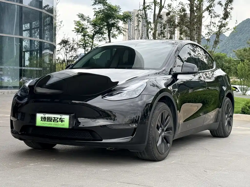Tesla Model Y 2023 Long Range AWD Edition