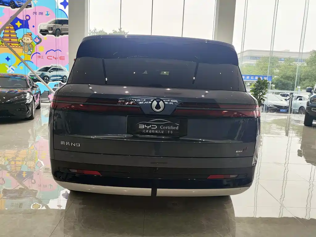 Denza N9 2025 Flagship