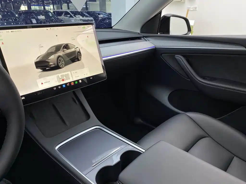 Tesla Model Y — миниатюра 32