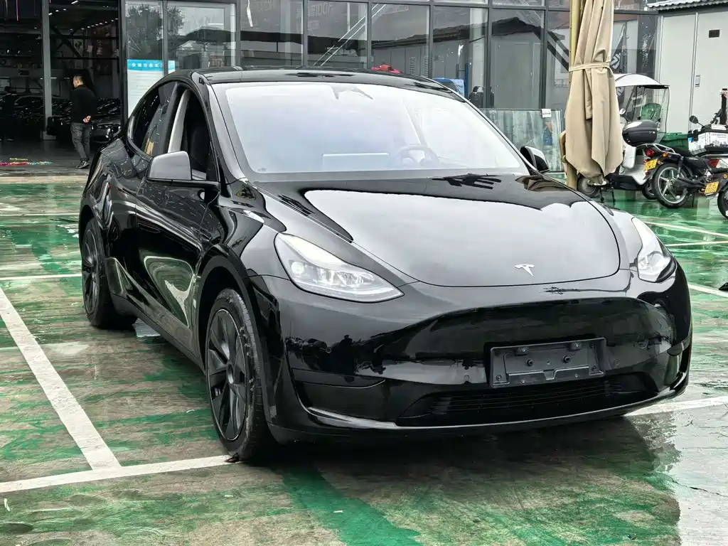 Tesla Model Y — миниатюра 2
